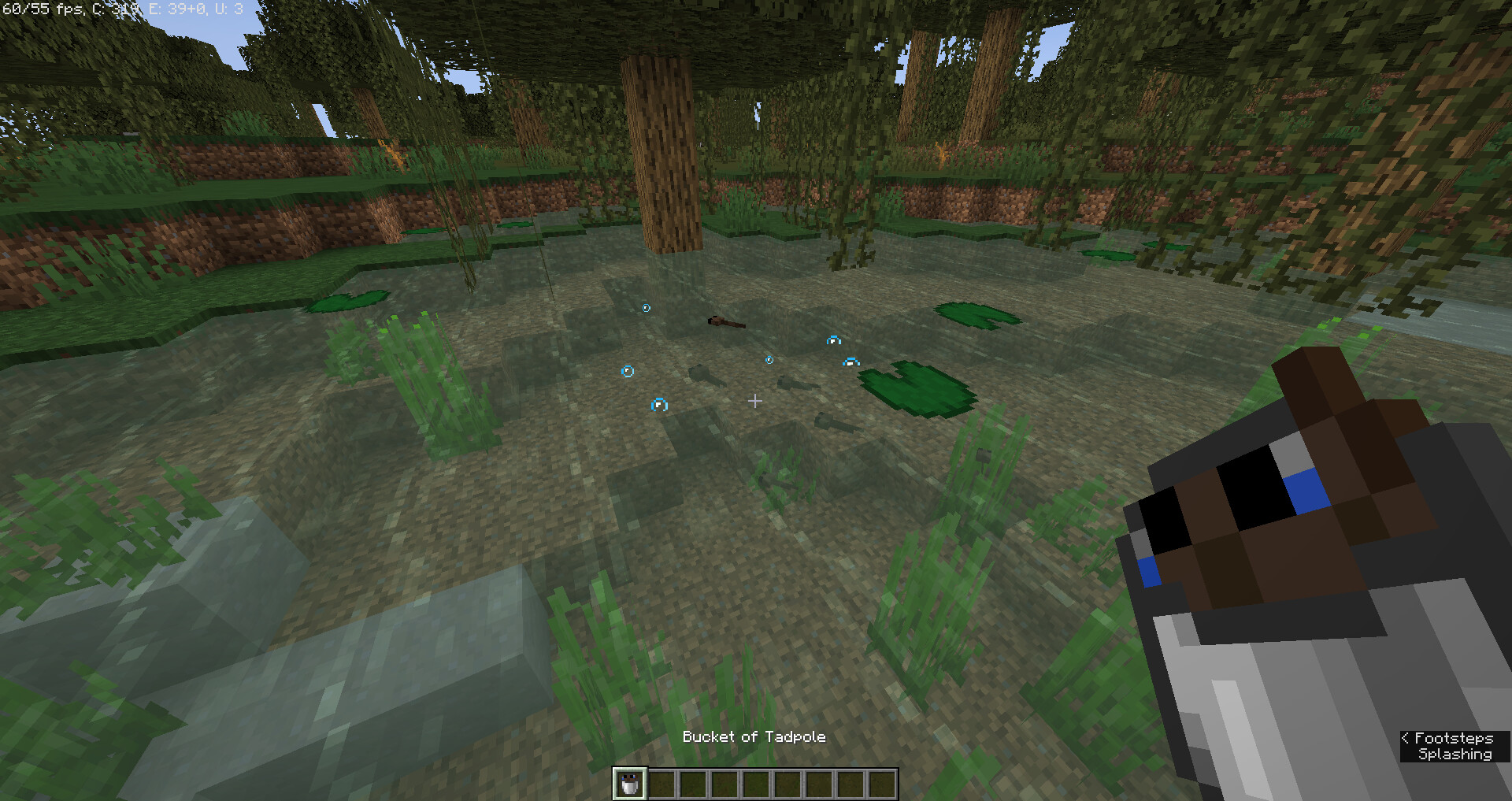 Frogs Datapack Minecraft Data Pack