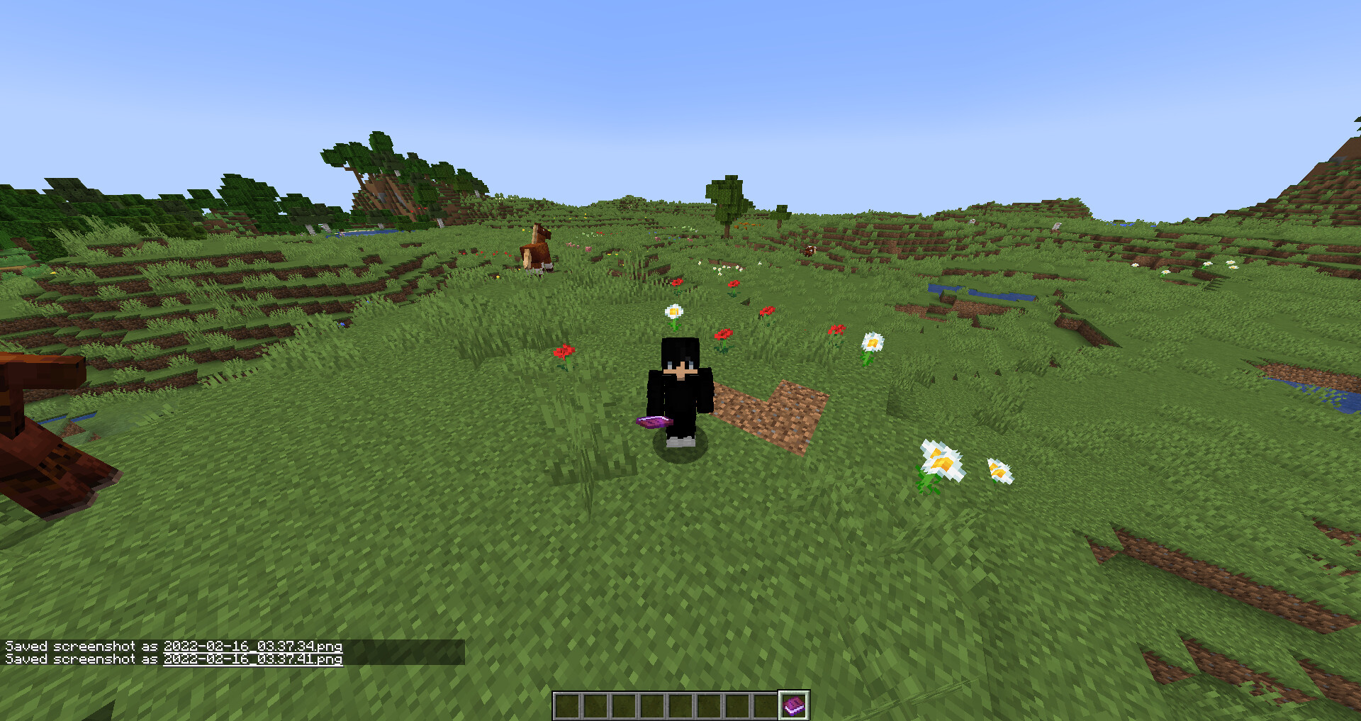 Simple Invisibility (1.17+) Minecraft Data Pack