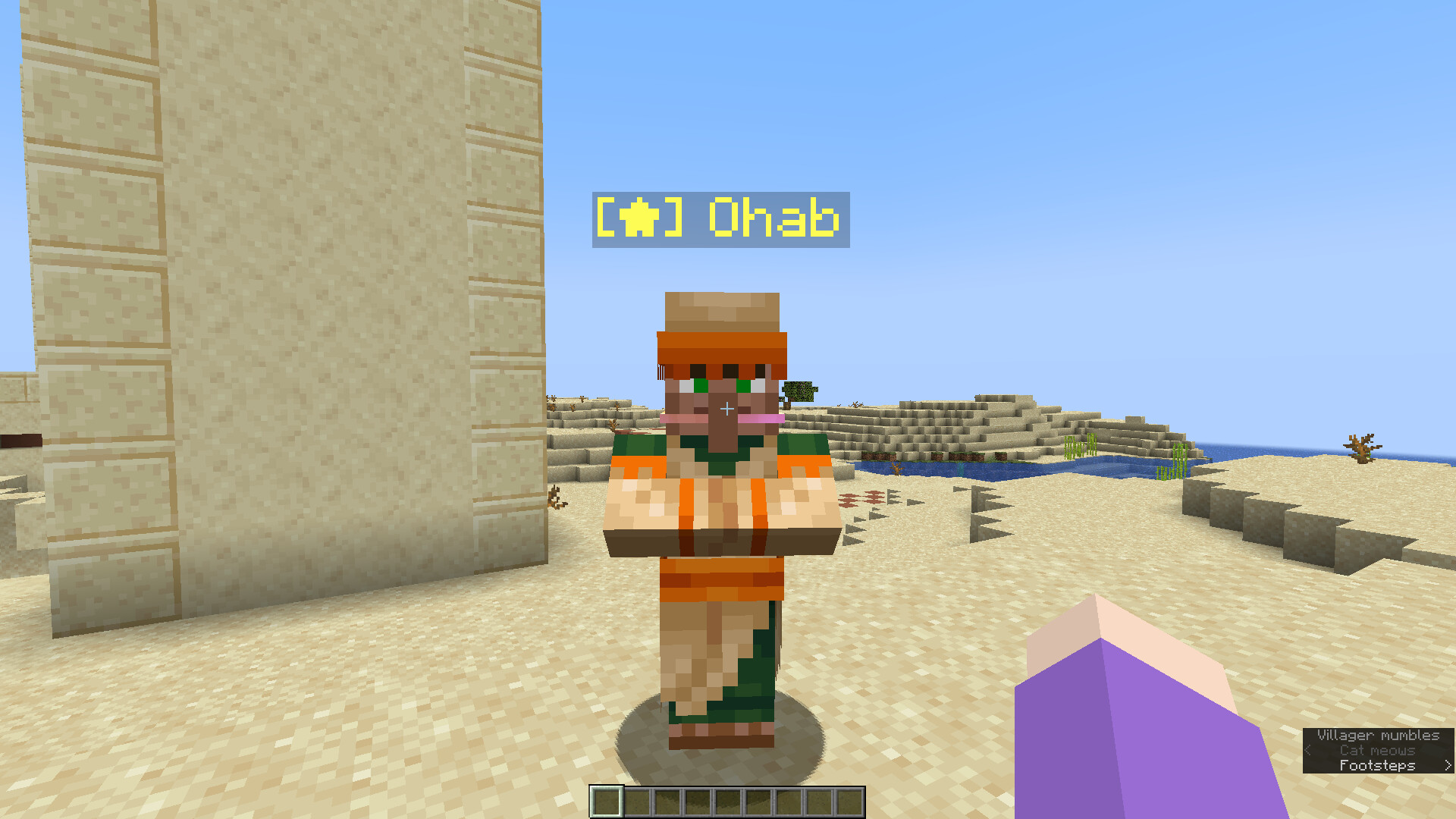 Random Village and Villager Names Data Pack (for 1.19+) Minecraft Data Pack