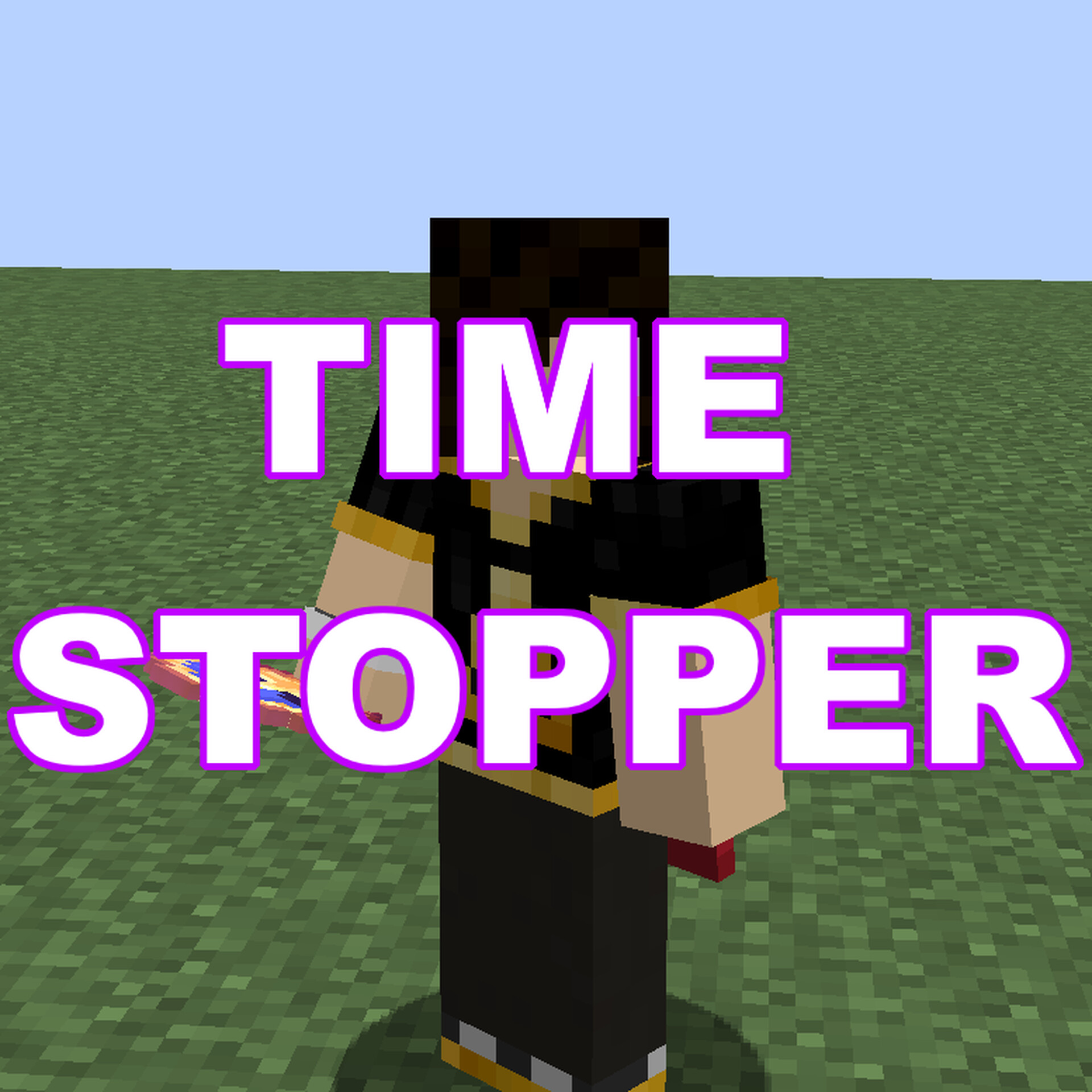 .Time Stop Minecraft Data Pack