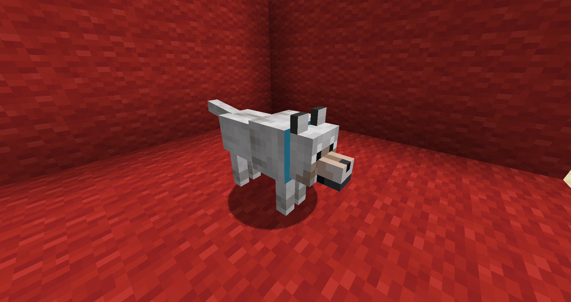 Rainbow Dog Collars! Minecraft Data Pack