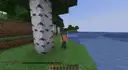 Dwarf mode