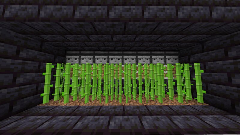 Sugar Cane Grows Faster