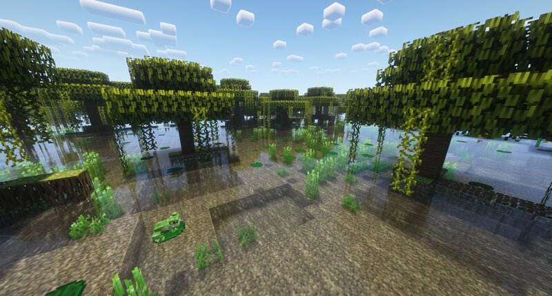 Biome Vote Swamp