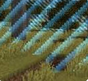 xp=border chalange Minecraft Data Pack