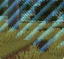 xp=border chalange Minecraft Data Pack