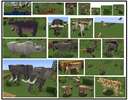 Tanks 1.19.4~1.20.1 animated animals datapack Minecraft Data Pack