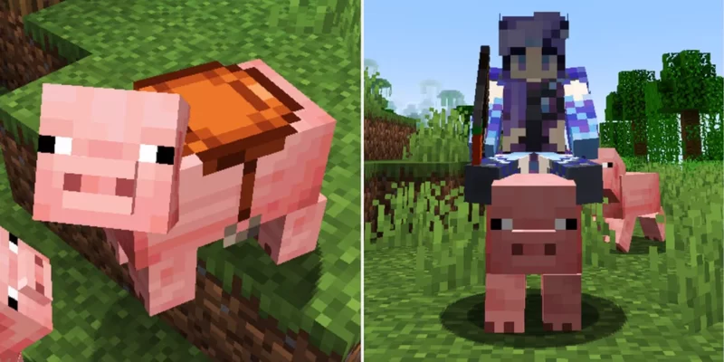 Improved Mounted Pigs!