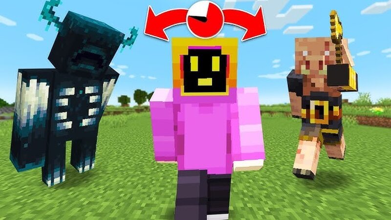 Minecraft but Random Mobs spawn every 20 seconds