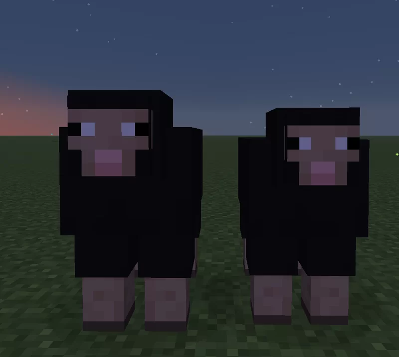 Random Animals Size