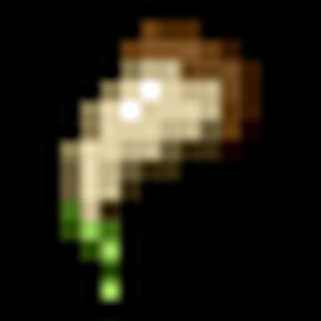 Star' The Dragon Husky Origin Minecraft Data Pack