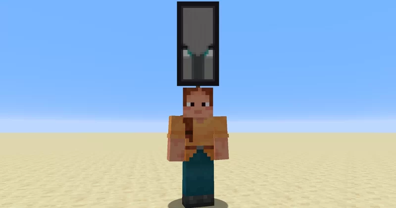 Banner on players head