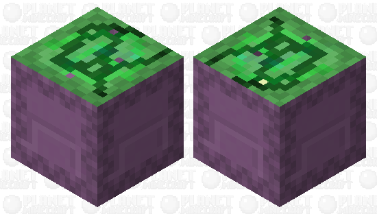 shulker with decaying shell. Minecraft Mob Skin