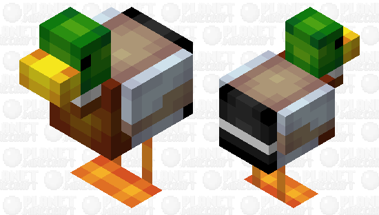 Mallard Duck - Mob Skintober 2020 - Day 19 Minecraft Skin