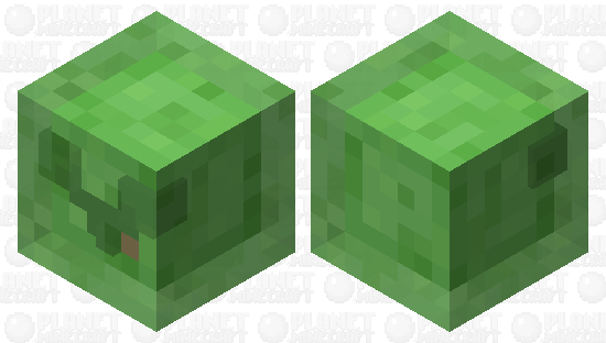 Cute Slime Minecraft Mob Skin