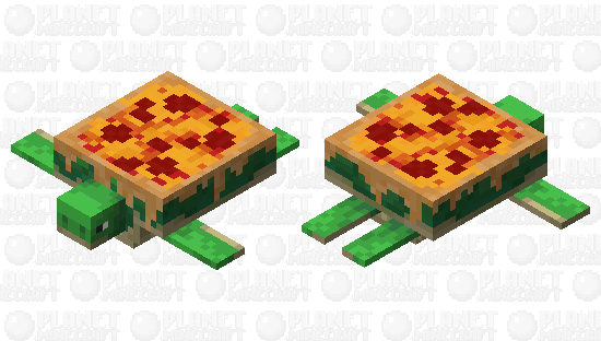 Pizza Shelled Turtle Minecraft Skin