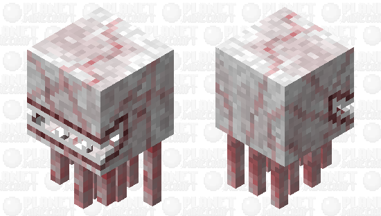 -The Vein of The Pupil- Minecraft Skin