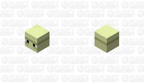 Wheres The Shell Minecraft Mob Skin