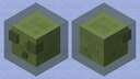 Slime of the Swamps Minecraft Mob Skin
