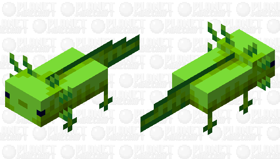 Green Axolotl :3 Minecraft Skin