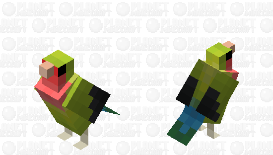 Peach-Faced lovebird Minecraft Skin
