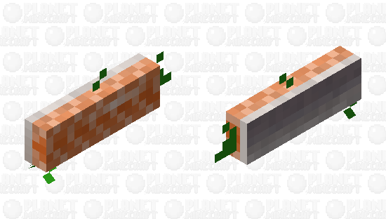 Salmon Filet Minecraft Mob Skin