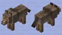 Coyote Minecraft Mob Skin