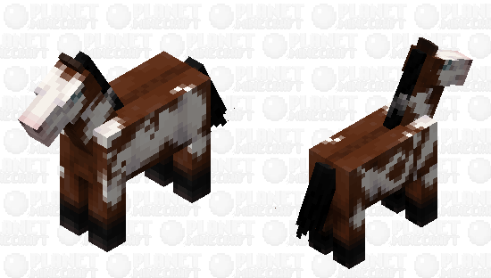 Frame Overo Horse Pattern Minecraft Skin