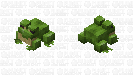 green frog Minecraft Skin