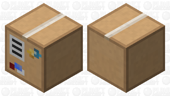 Cardboard Box Shulker Minecraft Skin