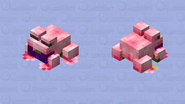 Recoloured frog Minecraft Mob Skin
