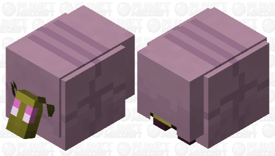 End roller Minecraft Skin