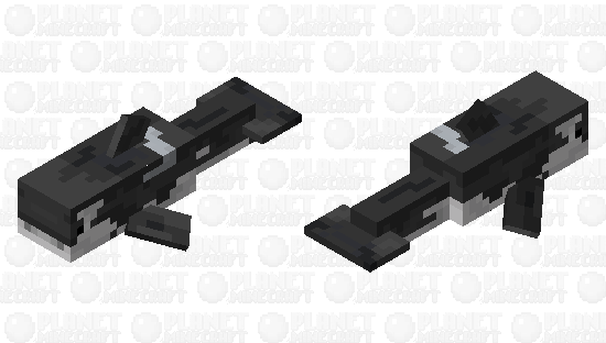 Orca Whale Minecraft Skin