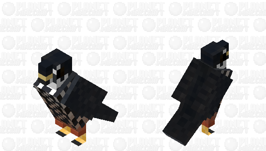 Eurasian Hobby (Falco subbuteo) Minecraft Skin