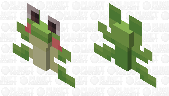 The Flying Frog ₍𝄐⩌𝄐₎ Minecraft Skin