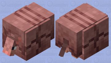 Armadillo with that white part of the eye that idk the name cuz english is not my main language :):):) Minecraft Mob Skin