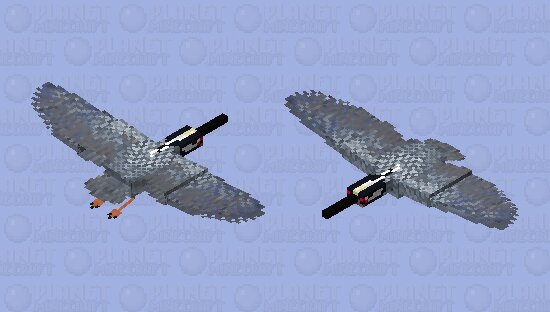 Yellow-crowned Night Heron (Nyctanassa violacea)