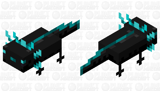 black axolotl Minecraft Skin