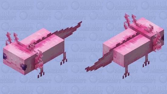 Pink Axolotl