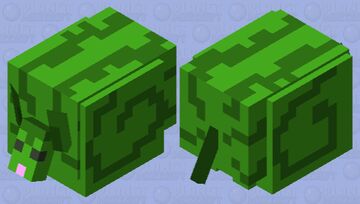 Melon Armadillo Minecraft Mob Skin