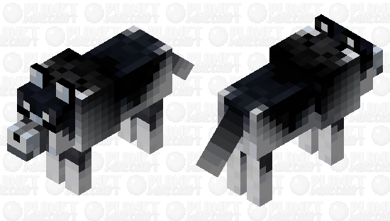 Siberian Husky Minecraft Skin