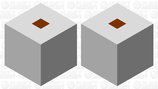 toilet paper roll Minecraft Skin