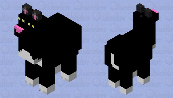 CAT LAMA