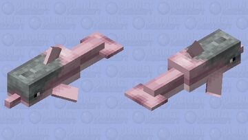 Pink Dolphin Minecraft Mob Skin