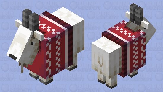 Winter Sweater Goat