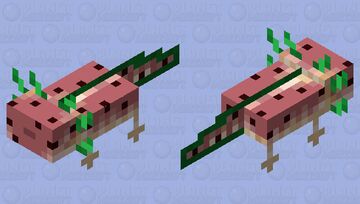 Juicy Watermelon Axolotl Minecraft Mob Skin