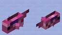 axolotl fish Minecraft Mob Skin