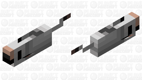 Wolf (fish) Minecraft Skin