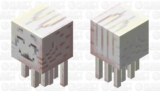 Happy Tears Minecraft Skin