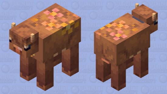 Simply Cute - Fall Cow Competition